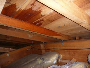 奈良市　屋根瓦の雨漏り修理でシーリング材（コーキング）