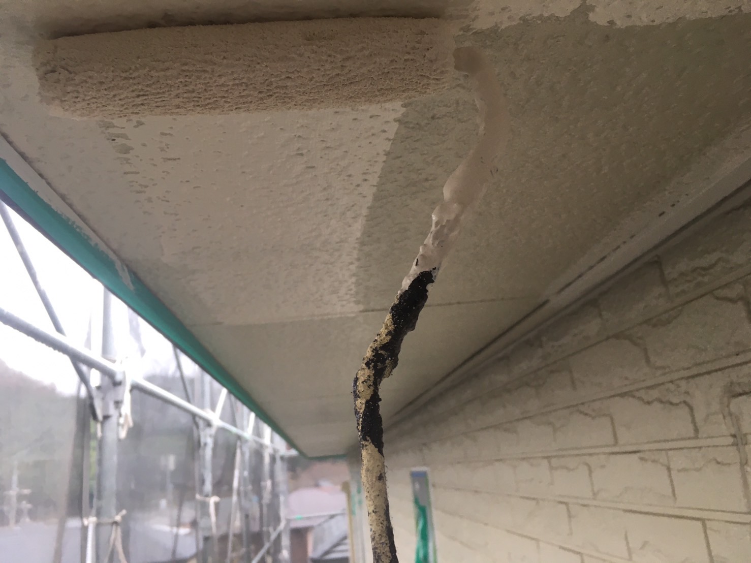 宇陀市D様邸 軒天塗装1回目 別角度