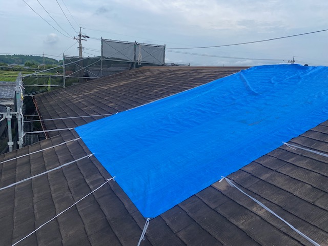 雨漏り対策として屋根に張ったブルーシート養生